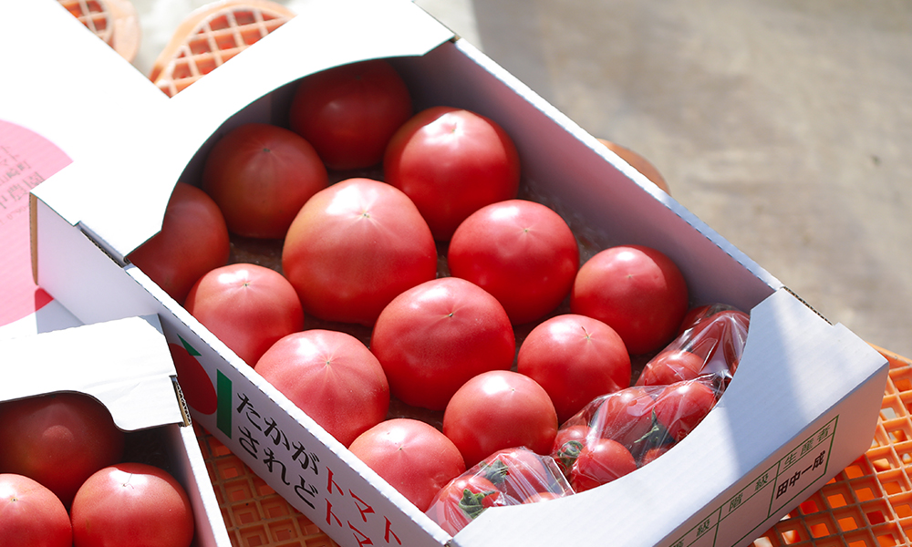 トマト箱詰め4kg