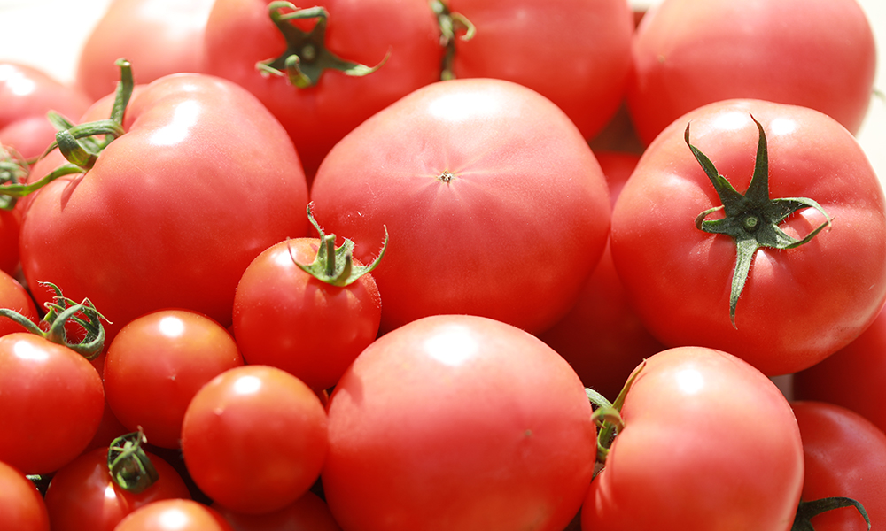 KY田中農園のトマト